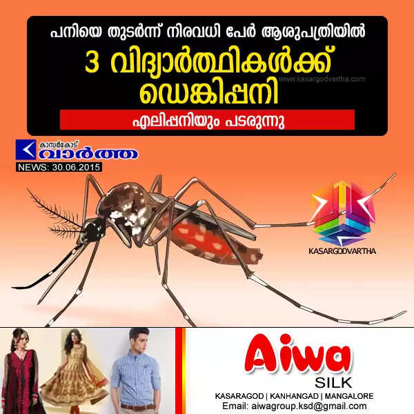 പനിയെ തുടര്ന്ന് നിരവധി പേര് ആശുപത്രിയില്, 3 വിദ്യാര്ത്ഥികള്ക്ക് ഡെങ്കിപ്പനി, എലിപ്പനിയും പടരുന്നു