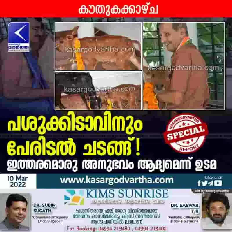 പശുക്കിടാവിനും പേരിടൽ ചടങ്ങ്! ഇത്തരമൊരു അനുഭവം ആദ്യമെന്ന് ഉടമ; കൗതുകക്കാഴ്ച