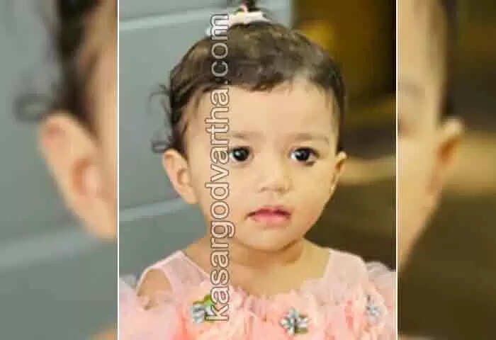 Accident | കർണാടകയിലെ കാർ അപകടത്തിൽ ഗുരുതരമായി പരുക്കേറ്റ പെൺകുഞ്ഞും യാത്രയായി; മൃതദേഹവുമായി വാഹനം ഹുബ്ബള്ളിയിൽ നിന്ന് പുറപ്പെട്ടു; ഉച്ചയോടെ നാട്ടിലെത്തിച്ച് ഖബറടക്കും; 4 ജീവനുകൾ പൊലിഞ്ഞതിന്റെ നടുക്കത്തിൽ കുടുംബം