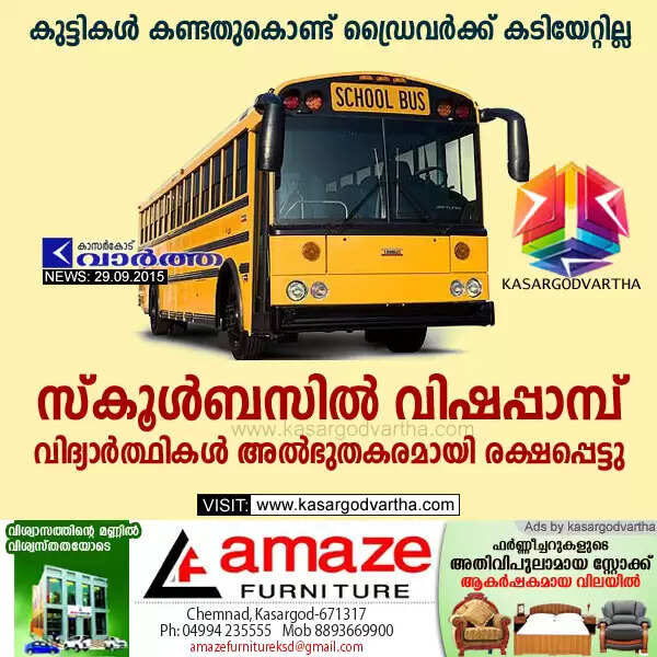 സ്കൂള്ബസില് വിഷപ്പാമ്പ്; വിദ്യാര്ത്ഥികള് അല്ഭുതകരമായി രക്ഷപ്പെട്ടു