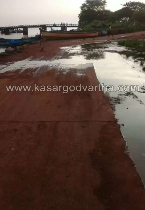 തളങ്കരയില് മത്തിച്ചാകര; കരയില് ജനങ്ങള്ക്ക് ദുരിതം