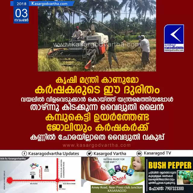 കൃഷി മന്ത്രി കാണുമോ കര്ഷകരുടെ ഈ ദുരിതം; വയലില് വിളവെടുക്കാന് കൊയ്ത്ത് യന്ത്രമെത്തിയപ്പോള് താഴ്ന്നു കിടക്കുന്ന വൈദ്യുതി ലൈന് കമ്പുകെട്ടി ഉയര്ത്തേണ്ട ജോലിയും കര്ഷകര്ക്ക്, കണ്ണില് ചോരയില്ലാതെ വൈദ്യുതി വകുപ്പ്