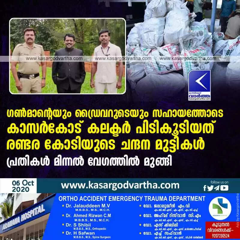 ഗണ്മാന്റെയും ഡ്രൈവറുടെയും സഹായത്തോടെ കാസര്കോട് കലക്ടര് പിടികൂടിയത് രണ്ടര കോടിയുടെ ചന്ദന മുട്ടികള്; പ്രതികള് മിന്നല് വേഗത്തില് മുങ്ങി