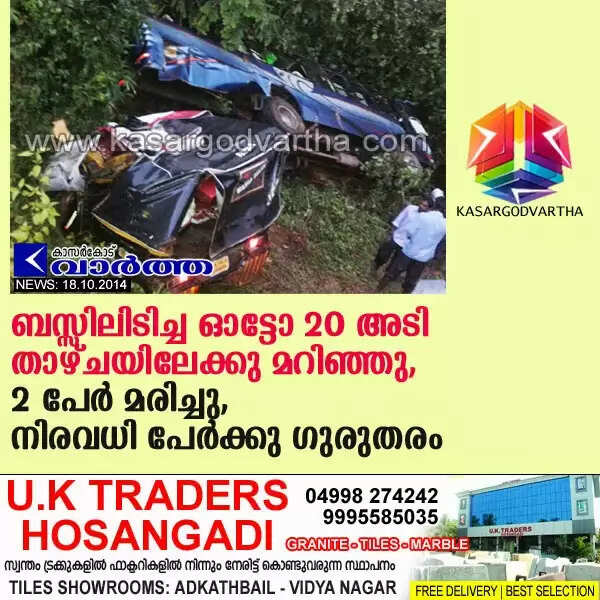 ബസ്സിലിടിച്ച ഓട്ടോ 20 അടി താഴ്ചയിലേക്കു മറിഞ്ഞു, 2 പേര് മരിച്ചു, നിരവധി പേര്ക്കു ഗുരുതരം