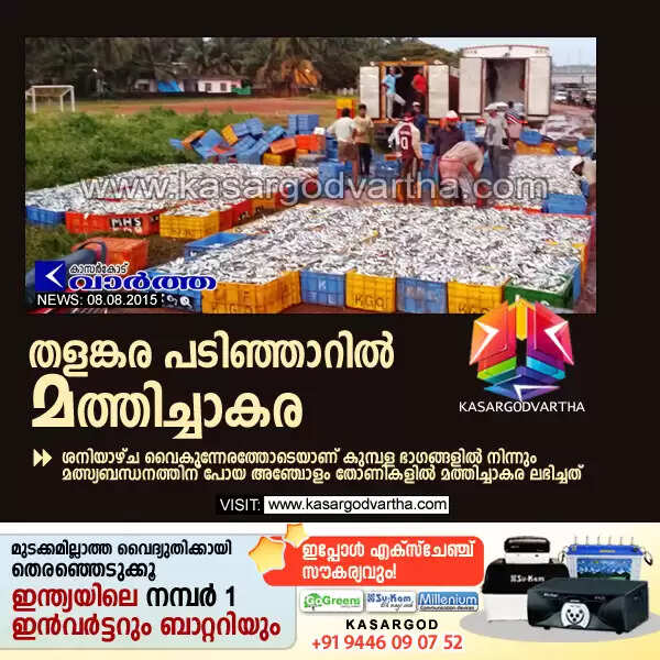 തളങ്കര പടിഞ്ഞാറില് മത്തിച്ചാകര