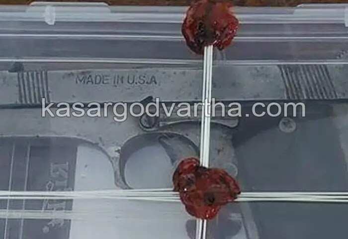 Arrested | തോക്കുമായി കാസര്കോട് സ്വദേശികള് കര്ണാടകയില് അറസ്റ്റില്; പിടിയിലായത് നിരവധി ക്രിമിനല് കേസുകളിലെ പ്രതികള്