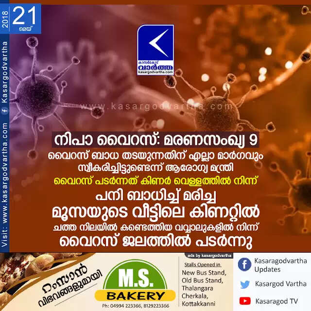 നിപാ വൈറസ്; മരണസംഖ്യ 9, വൈറസ് ബാധ തടയുന്നതിന് എല്ലാ മാര്ഗവും സ്വീകരിച്ചിട്ടുണ്ടെന്ന് ആരോഗ്യ മന്ത്രി, വൈറസ് പടര്ന്നത് കിണര് വെള്ളത്തില് നിന്ന്; പനി ബാധിച്ച് മരിച്ച മൂസയുടെ വീട്ടിലെ കിണറ്റില് ചത്ത നിലയില് കണ്ടെത്തിയ വവ്വാലുകളില് നിന്ന് വൈറസ് ജലത്തില് പടര്ന്നു