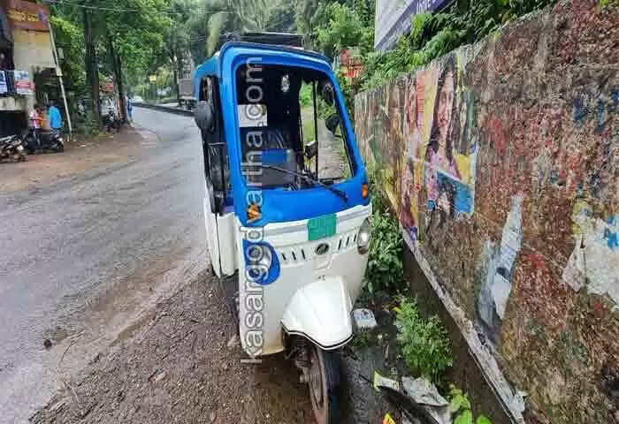 Road Accident | സര്വീസ് കഴിഞ്ഞിറങ്ങിയ ഇലക്ട്രിക് ഓടോ റിക്ഷയ്ക്ക് തനിയെ വേഗത കൂടി; നിയന്ത്രണംവിട്ട് മറിഞ്ഞ് ഡ്രൈവര്ക്കും 10 സ്കൂള് വിദ്യാര്ഥികള്ക്കും പരുക്ക്