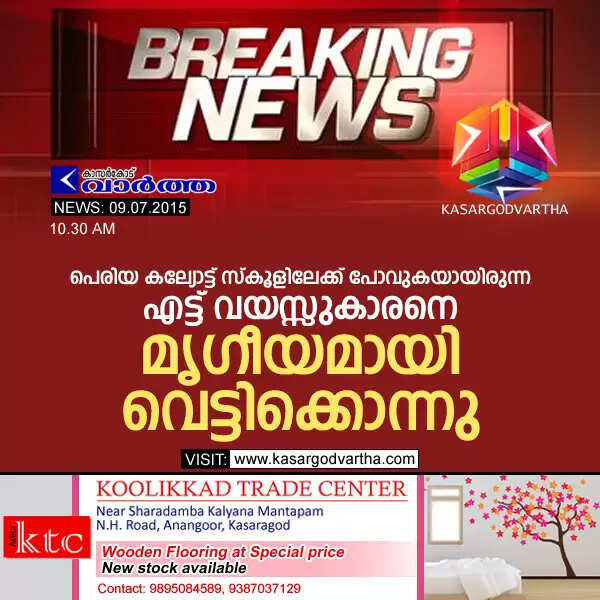 പെരിയ കല്യോട്ട് സ്കൂളിലേക്ക് പോവുകയായിരുന്ന എട്ട് വയസ്സുകാരനെ മൃഗീയമായി വെട്ടിക്കൊന്നു