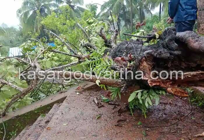 Tragedy | നോവായി ആഇശത് മിൻഹ; ദുഃഖത്തിലാണ്ട് നാട്; മാതാപിതാക്കളെ ആശ്വസിപ്പിക്കാനാകാതെ ബന്ധുക്കൾ; അംഗഡിമൊഗറിന് നഷ്ടമായത് പഠനത്തിൽ മിടുക്കിയായ വിദ്യാർഥിനിയെ
