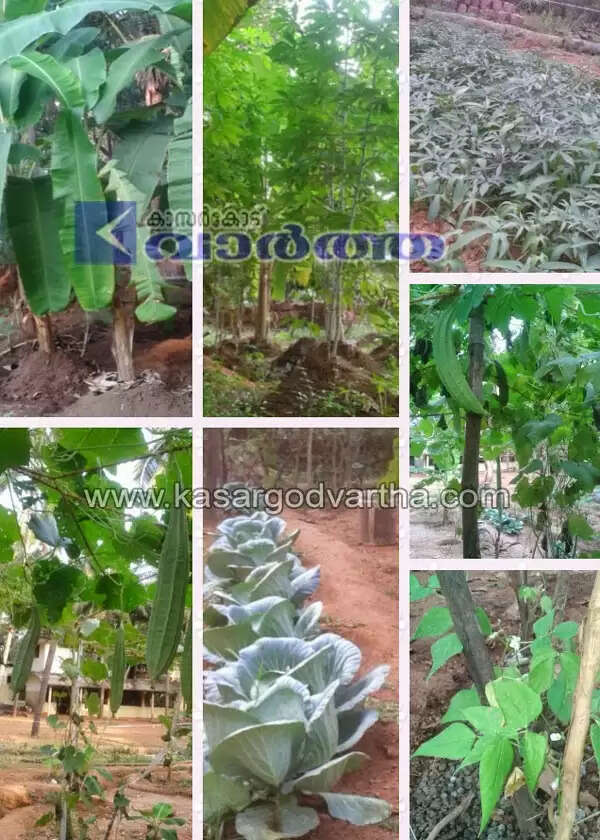 പഠനത്തോടൊപ്പം കൃഷിയിറക്കി എം.ഐ.സി വിദ്യാര്ത്ഥികള്