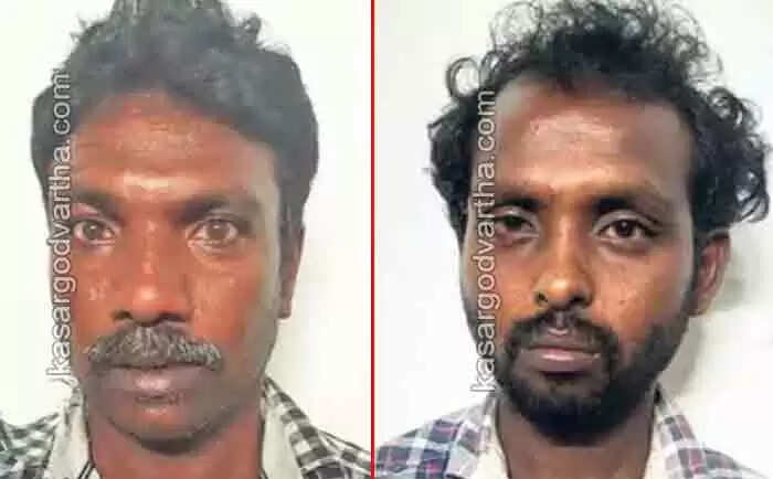 Two arrested | 355 ഗ്രാം കഞ്ചാവുമായി 2 പേർ അറസ്റ്റിൽ