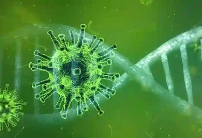 Nipah | നിപ: കാസര്കോട്ടും ജാഗ്രത പാലിക്കണമെന്ന് മെഡികല് ഓഫീസര്; ലക്ഷണങ്ങള് ശ്രദ്ധയില്പ്പെട്ടാല് ഉടനെ ആരോഗ്യ കേന്ദ്രങ്ങളിലെത്തി ചികിത്സ തേടണം; പക്ഷി മൃഗാദികളുടെ കടിയേറ്റതോ നിലത്ത് വീണുകിടക്കുന്നതോ ആയ പഴങ്ങള് ഉപയോഗിക്കരുതെന്ന് നിര്ദേശം