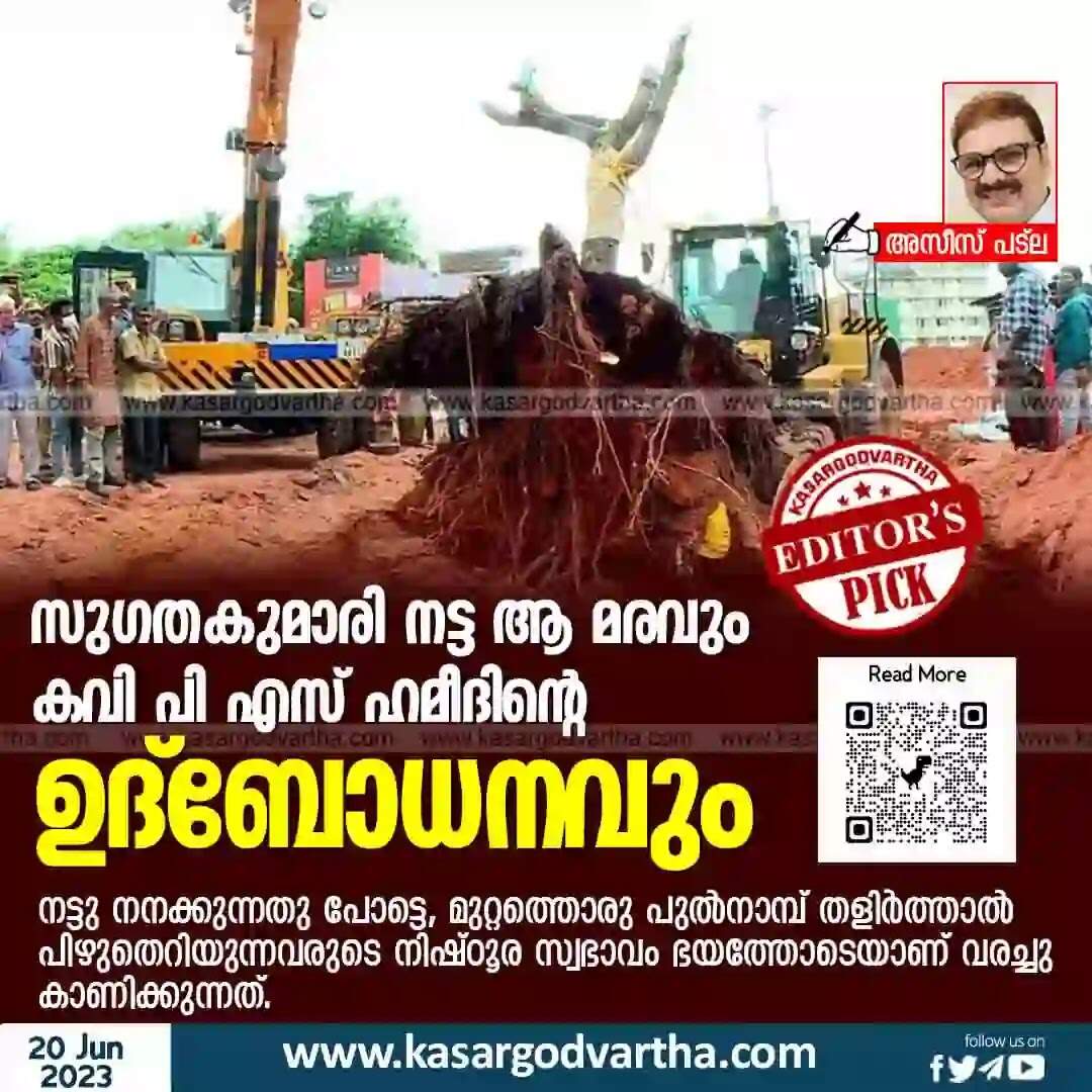 Environment | സുഗതകുമാരി നട്ട ആ മരവും കവി പി എസ് ഹമീദിന്റെ ഉദ്ബോധനവും
