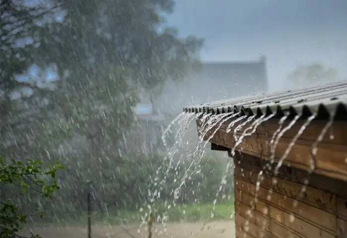 Electricity | മഴ ചാറിയാൽ വൈദ്യുതി നിലക്കും; ദുരിതം പേറി ജനങ്ങൾ; അധികൃതർക്ക് മെല്ലെപ്പോക്ക് നയമെന്ന് ആക്ഷേപം