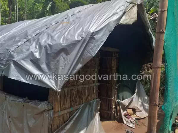 കാട്ടാന കൂട്ടത്തിന്റെ പേടിക്കൊപ്പം ടാര്പ്പോളിന് കൊണ്ട് മറച്ച കുടിലില് കഴിയുന്നത് നിരവധി കുടുംബങ്ങള്; സഞ്ചാരികളുടെ ഇഷ്ട കേന്ദ്രമായ കോട്ടഞ്ചേരിയില് ദുരിത കാഴ്ച; നാണം കെട്ട് ആന മതില്