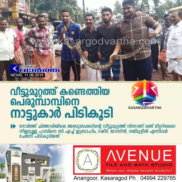 വീട്ടുമുറ്റത്ത് കണ്ടെത്തിയ പെരുമ്പാമ്പിനെ നാട്ടുകാര് പിടികൂടി