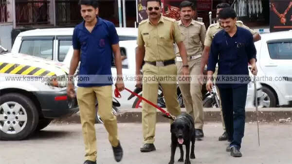 പെരുന്നാളിനോടനുബന്ധിച്ച് കാസര്കോട് നഗരത്തില് ബോംബ് സ്ക്വാഡും ഡോഗ് സ്ക്വാഡും പരിശോധന നടത്തി