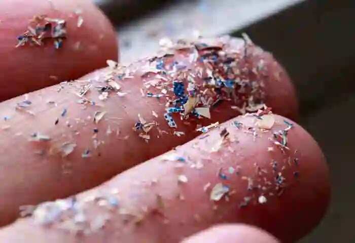 Microplastics | കോവിഡിന് പിന്നാലെ കാസര്കോട് നഗരത്തിലെ മണ്ണില് സൂക്ഷ്മ പ്ലാസ്റ്റികുകളുടെ സാന്നിധ്യം ഗണ്യമായി വര്ധിച്ചതായി വിദഗ്ധ പഠന റിപോര്ട്; പരിസ്ഥിതിക്ക് ഗുരുതരമായ ഭീഷണിയെന്ന് ഗവേഷകര്; മാസ്കുകള് അടക്കം അലക്ഷ്യമായി വലിച്ചെറിഞ്ഞത് കാരണമായി