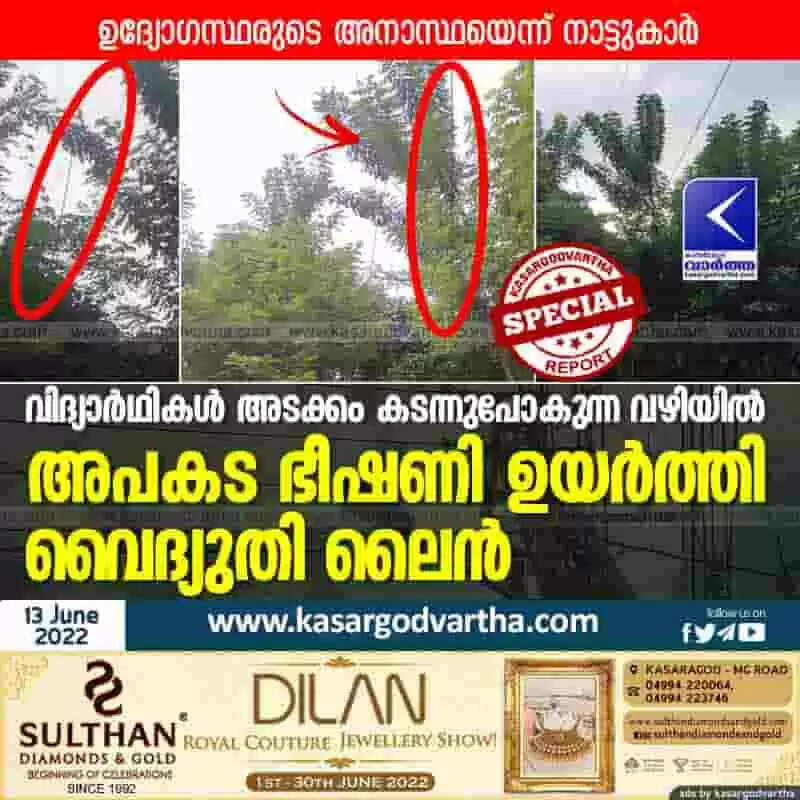 വിദ്യാർഥികൾ അടക്കം കടന്നുപോകുന്ന വഴിയിൽ അപകട ഭീഷണി ഉയർത്തി വൈദ്യുതി ലൈൻ; ഉദ്യോഗസ്ഥരുടെ അനാസ്ഥയെന്ന് നാട്ടുകാർ