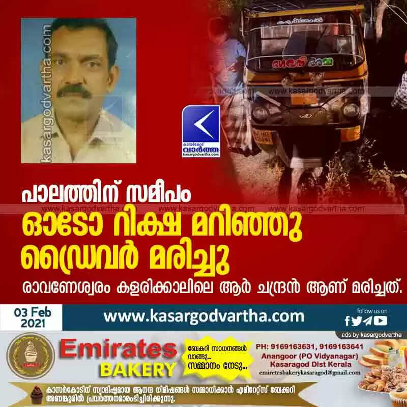 പാലത്തിന് സമീപം ഓടോ റിക്ഷ മറിഞ്ഞു ഡ്രൈവർ മരിച്ചു