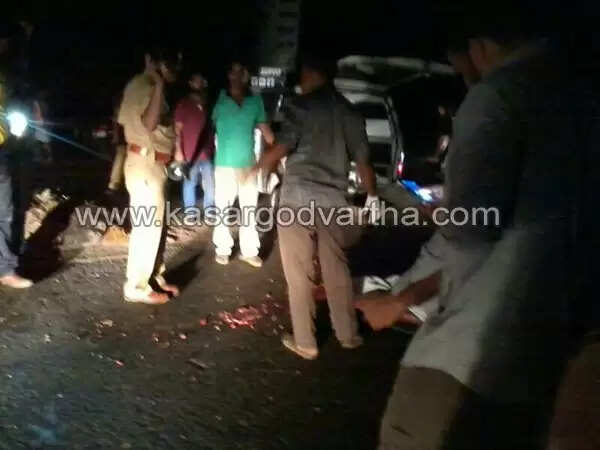 നുള്ളിപ്പാടിയില് യുവാവ് വാഹനമിടിച്ച് മരിച്ചു