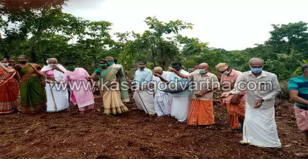 സുഭിക്ഷ കേരളം പദ്ധതിയില് കോട്ടപ്പാറയിലെ രണ്ടര ഏക്കറില് കേരളം കതിരണിയും