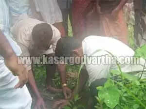 തണല് പുരുഷ സ്വയം സഹായസംഘം സൗജന്യ വൃക്ഷതൈ വിതരണം നടത്തി.