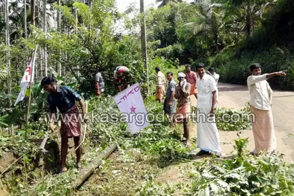 റോഡ് വശങ്ങളിലെ കാടുവെട്ടിത്തെളിച്ച് ഡിവൈഎഫ്ഐ യൂണിറ്റ് മാതൃകയായി