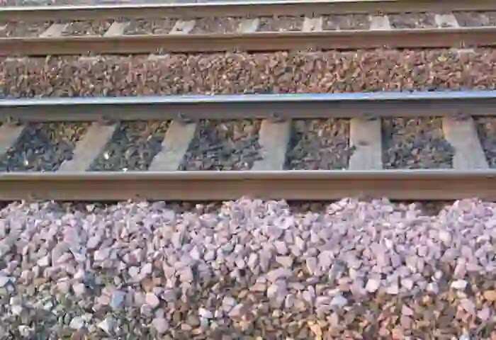 Died | പാളം മുറിച്ച് കടക്കുന്നതിനിടെ ഗൃഹനാഥൻ ട്രെയിൻ തട്ടി മരിച്ചു