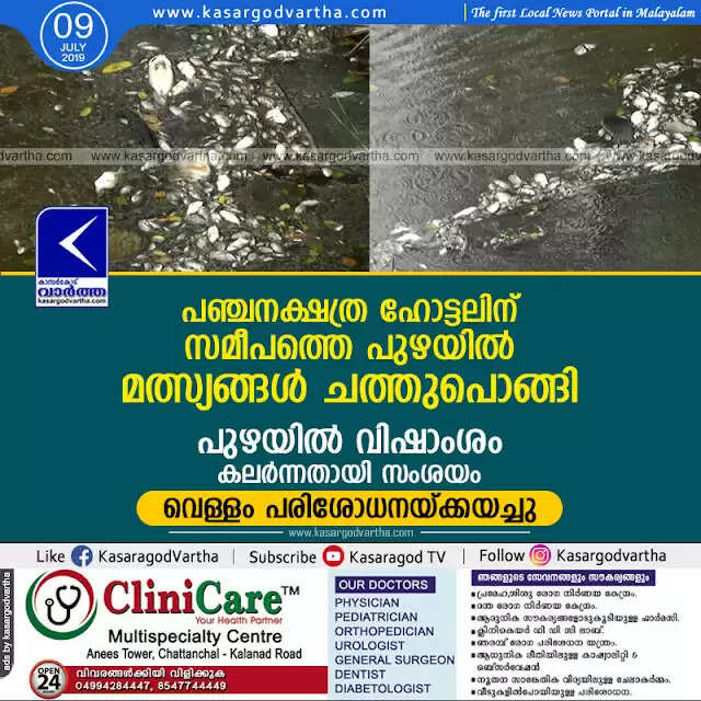 പഞ്ചനക്ഷത്ര ഹോട്ടലിന് സമീപത്തെ പുഴയില് മത്സ്യങ്ങള് ചത്തുപൊങ്ങി; പുഴയില് വിഷാംശം കലര്ന്നതായി സംശയം, വെള്ളം പരിശോധനയ്ക്കയച്ചു