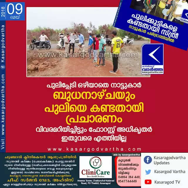പുലിപ്പേടി ഒഴിയാതെ നാട്ടുകാര്; ബുധനാഴ്ചയും പുലിയെ കണ്ടതായി പ്രചാരണം, വിവരമറിയിച്ചിട്ടും ഫോറസ്റ്റ് അധികൃതര് ഇതുവരെ എത്തിയില്ല