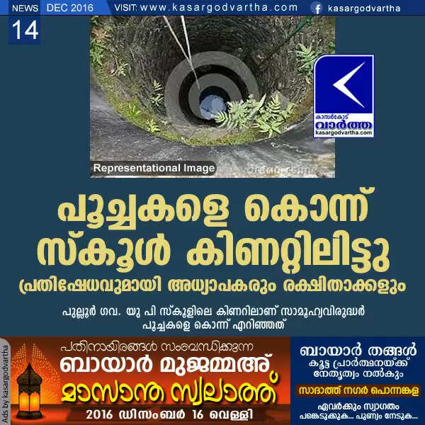 പൂച്ചകളെ കൊന്ന് സ്കൂള് കിണറ്റിലിട്ടു; പ്രതിഷേധവുമായി അധ്യാപകരും രക്ഷിതാക്കളും
