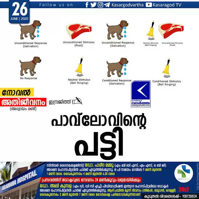 പാവ് ലോവിന്റെ പട്ടി