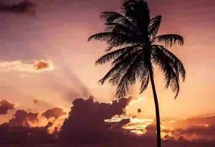 Ramadan Quiz | 'റമദാന് വസന്തം - 2023' കാസര്കോട് വാര്ത്ത - ക്വിസ് മത്സരം - 25