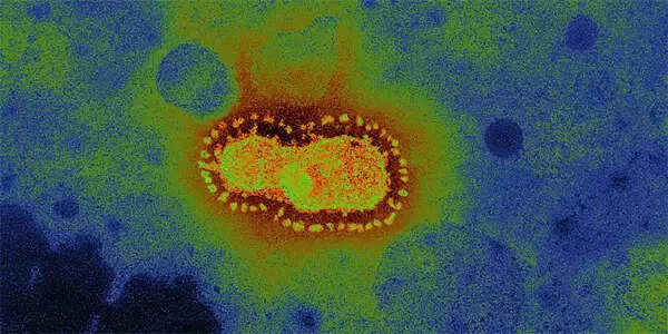 കൊറോണ വൈറസിനെതിരെ ജാഗ്രത പാലിക്കണം; പ്രതിരോധ മാര്ഗങ്ങള് ഇവ