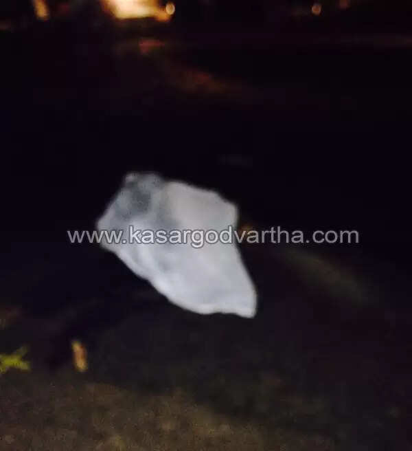 നുള്ളിപ്പാടിയില് യുവാവ് വാഹനമിടിച്ച് മരിച്ചു