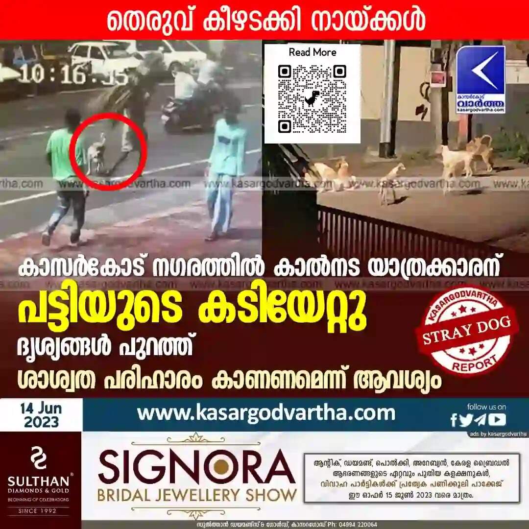 Stray Dog | തെരുവ് കീഴടക്കി നായ്ക്കള്; കാസര്കോട് നഗരത്തില് കാല്നട യാത്രക്കാരന് പട്ടിയുടെ കടിയേറ്റു; ദൃശ്യങ്ങള് പുറത്ത്; ശാശ്വത പരിഹാരം കാണണമെന്ന് ആവശ്യം