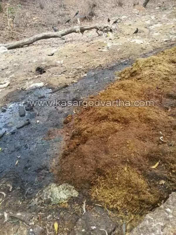 മൊഗ്രാല്പുത്തൂരില് അറവു മാലിന്യങ്ങള് റോഡരികില് തള്ളി
