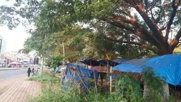 മാലിന്യത്തില് നിന്നും തീപടര്ന്നു; തണല് മരം പൂര്ണമായും കത്തിനശിച്ചു