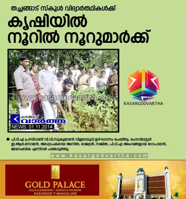 തച്ചങ്ങാട് സ്കൂള് വിദ്യാര്ത്ഥികള്ക്ക് കൃഷിയില് നൂറില് നൂറുമാര്ക്ക്