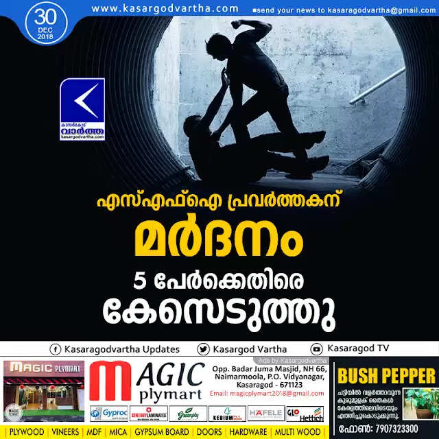 എസ്എഫ്ഐ പ്രവര്ത്തകന് മര്ദനം; 5 പേര്ക്കെതിരെ കേസെടുത്തു