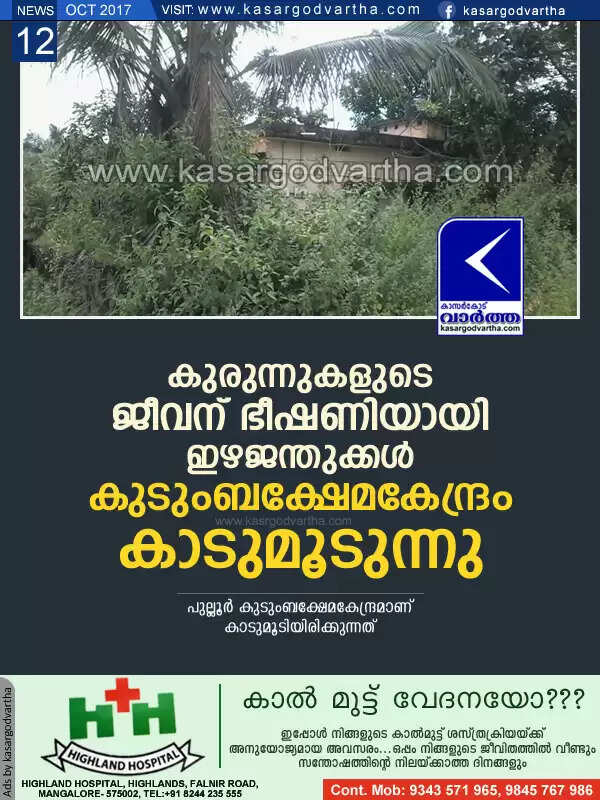 കുരുന്നുകളുടെ ജീവന് ഭീഷണിയായി ഇഴജന്തുക്കള്; കുടുംബക്ഷേമകേന്ദ്രം കാടുമൂടുന്നു