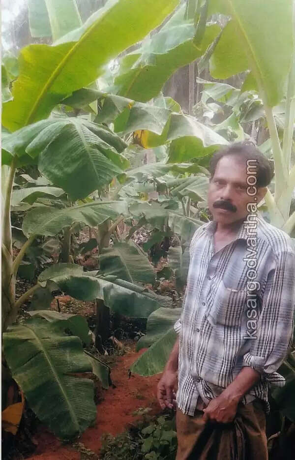 എല്.ഐ.സി ഏജന്റില് നിന്ന് അബ്ബാസ് കൃഷി ഭൂമിയിലേക്ക്