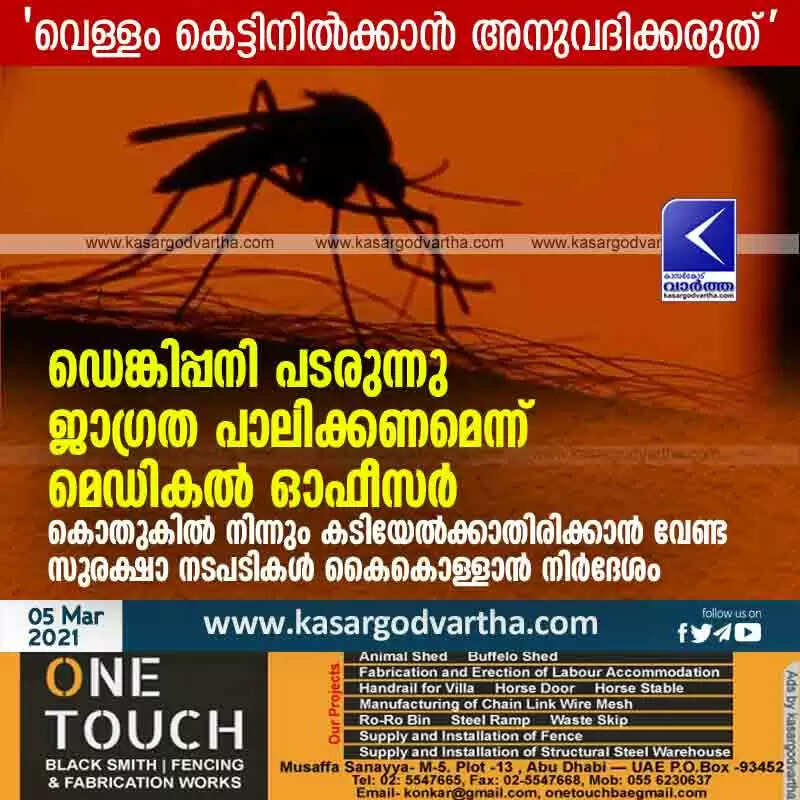 ഡെങ്കിപ്പനി പടരുന്നു; ജാഗ്രത പാലിക്കണമെന്ന് മെഡികൽ ഓഫീസർ; കൊതുകിൽ നിന്നും കടിയേൽക്കാതിരിക്കാൻ വേണ്ട സുരക്ഷാ നടപടികൾ കൈകൊള്ളാൻ നിർദേശം