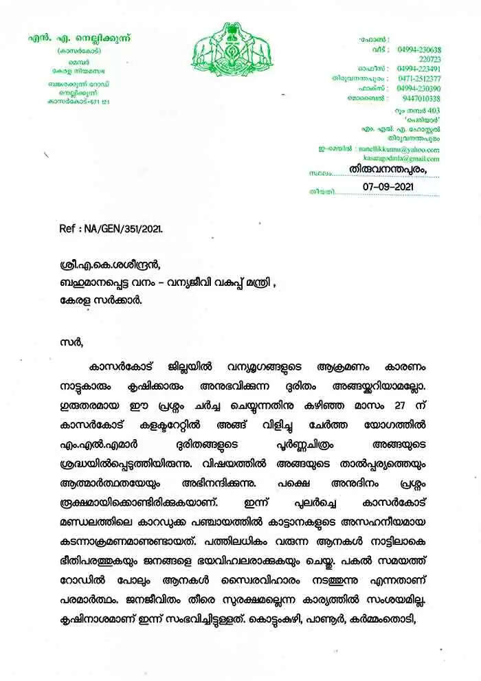 കാറഡുക്കയിൽ അസഹനീയമായ കാട്ടാന ശല്യം; കർഷകർക്ക് കണ്ണീർ; എൻ എ നെല്ലിക്കുന്ന് എംഎൽഎ മന്ത്രിക്ക് കത്തയച്ചു