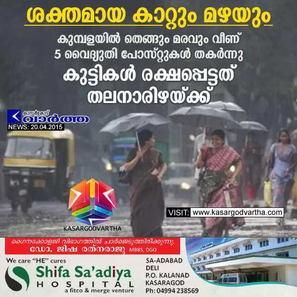 ശക്തമായ കാറ്റും മഴയും; കുമ്പളയില് തെങ്ങും മരവും വീണ് 5 വൈദ്യുതി പോസ്റ്റുകള് തകര്ന്നു; കുട്ടികള് രക്ഷപ്പെട്ടത് തലനാരിഴയ്ക്ക്
