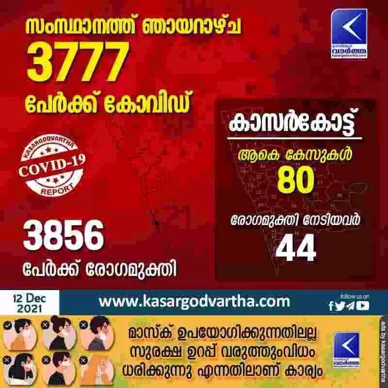 സംസ്ഥാനത്ത് ഞായറാഴ്ച 3777 പേര്ക്ക് കോവിഡ്; കാസർകോട് 80 പേര്