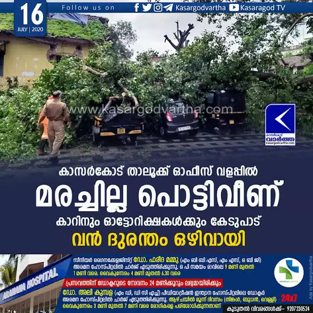 കാസര്കോട് താലൂക്ക് ഓഫീസ് വളപ്പില് മരച്ചില്ല പൊട്ടിവീണ് കാറിനും ഓട്ടോറിക്ഷകള്ക്കും കേടുപാട്; വന് ദുരന്തം ഒഴിവായി