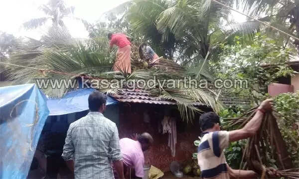 അയല്വാസിയുടെ പറമ്പിലെ തെങ്ങ് വീടിന് മുകളില് വീണു; വികലാംഗ യുവതിയടക്കമുള്ള കുടുംബം രക്ഷപ്പെട്ടത് തലനാരിഴയ്ക്ക്, പാര്ക്കാനിടമില്ലാതെ കുടുംബം ദുരിതത്തില്